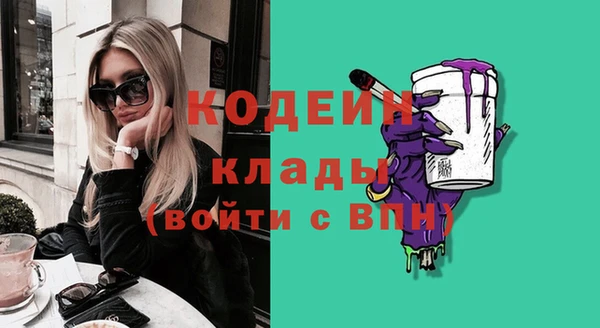 первитин Няндома