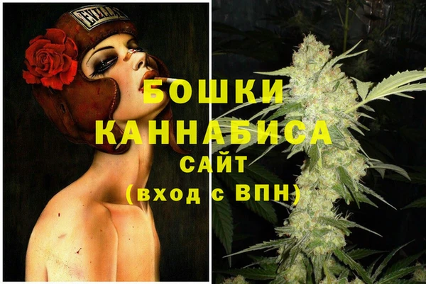 первитин Няндома