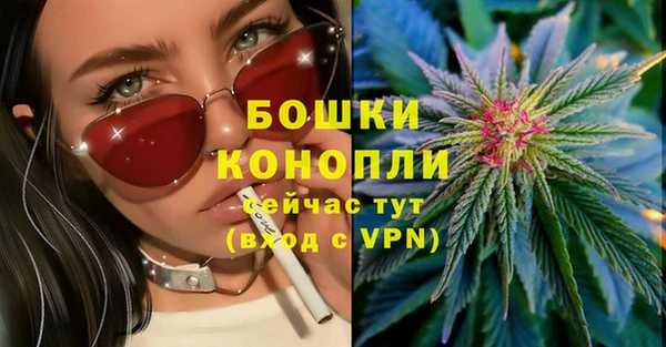 первитин Няндома