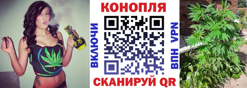 omg ссылки  площадка Telegram  Бошки марихуана THC 21%  Ахтубинск 